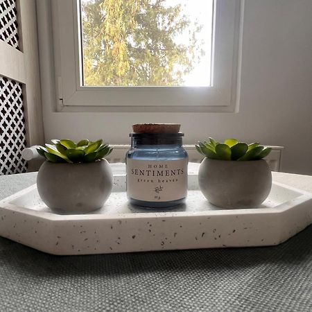 Xili'S Relax And Chill Apartment, Netflix, Peaceful Location In Brasov Bagian luar foto